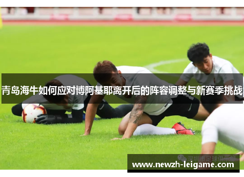 青岛海牛如何应对博阿基耶离开后的阵容调整与新赛季挑战 青岛海牛如何应对博阿基耶离开后的阵容调整与新赛季挑战