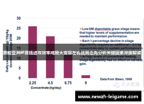 赛前亚洲杯赛场进攻效率成最大变量左右战局走向分析关键因素深度解读