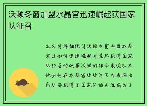 沃顿冬窗加盟水晶宫迅速崛起获国家队征召