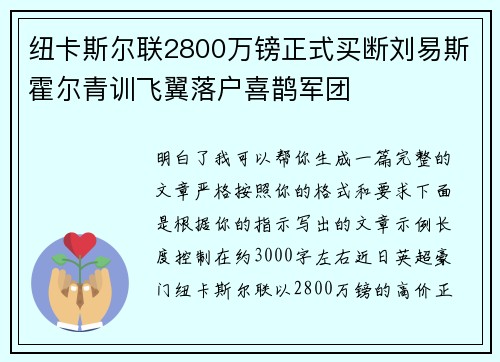纽卡斯尔联2800万镑正式买断刘易斯霍尔青训飞翼落户喜鹊军团